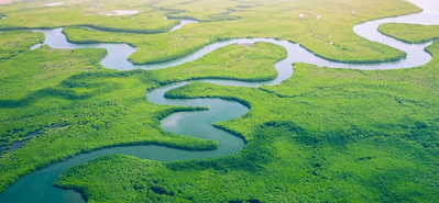 Forradalmasító mezőgazdasági öntözés: A PVC csövek és szerelvények szerepe